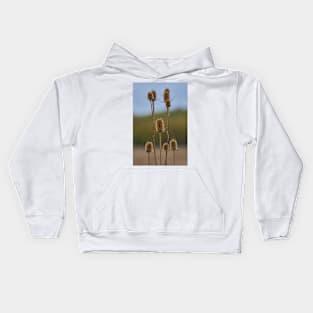 Thistle heads closeup Kids Hoodie